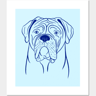 Dogue de Bordeaux (Light Blue and Blue) Posters and Art